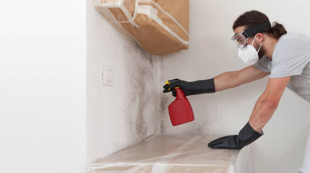 Professional Attic Mold Removal technician working in Manistee, MI